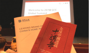 汪林朋GCC全球峰会宗旨演讲：：妄想始于行动，，，中国市场不容错过 