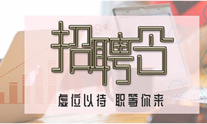 服务商户，，致力发展&mdash;安徽分公司岳阳滨湖店携手优质商户人才招聘会 