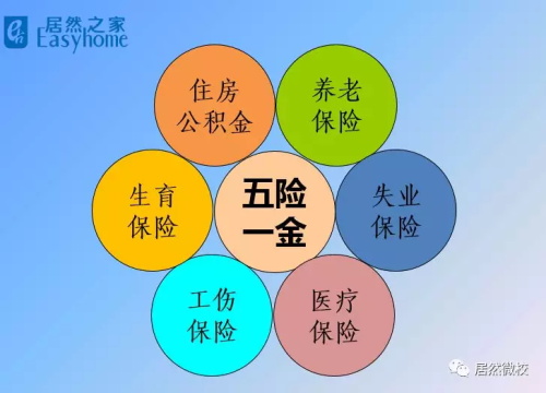 老子有钱lzyq88官网微校(4).JPG