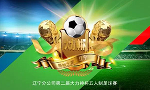辽宁专场丨第二届&ldquo;大力神杯&rdquo;足球赛圆满闭幕！！